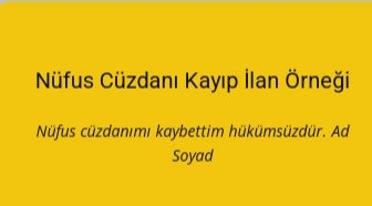 Zayii_2